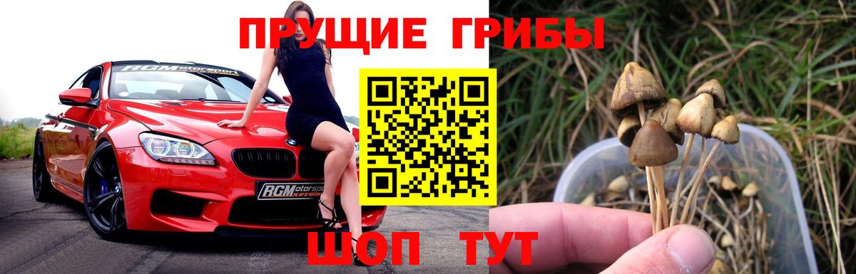 Ачинск  Псилоцибиновые грибы прущие грибы  Галлюциногенные грибы Magic Shrooms  Вход с VPN 